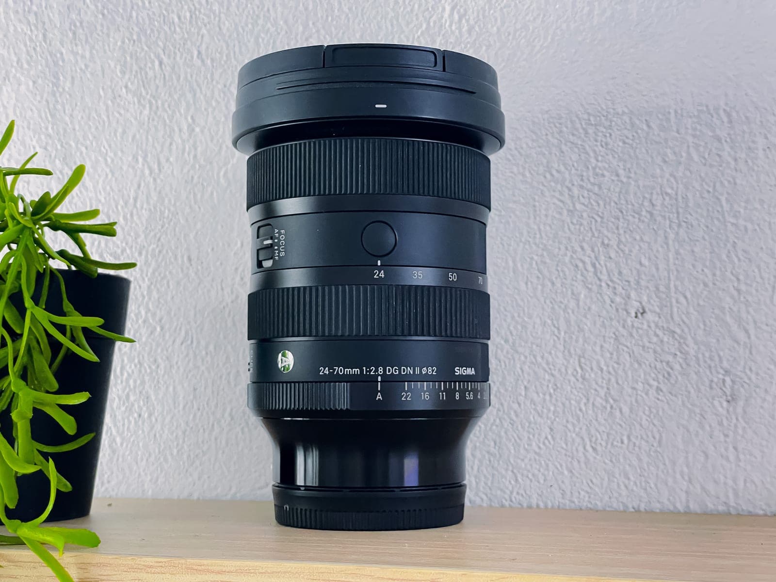 Ống kính Sigma 24–70mm F2.8 DG DN II Art dựng đứng trên kệ gỗ, cạnh một chậu cây nhỏ